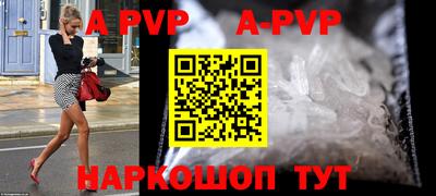 крисы Славгород