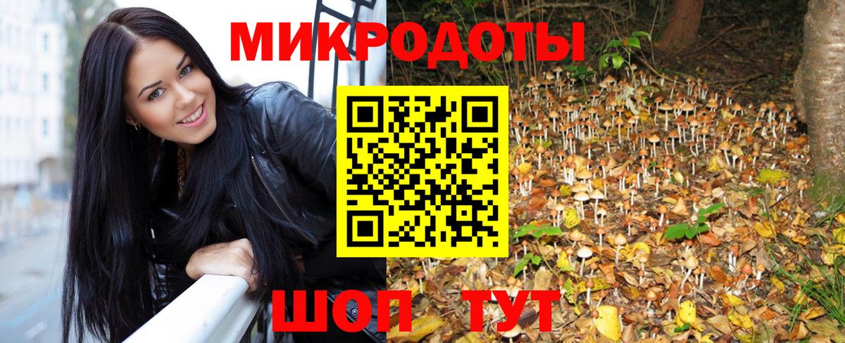 Партизанск  Галлюциногенные грибы Psilocybe  Псилоцибиновые грибы мицелий  Вход с VPN 