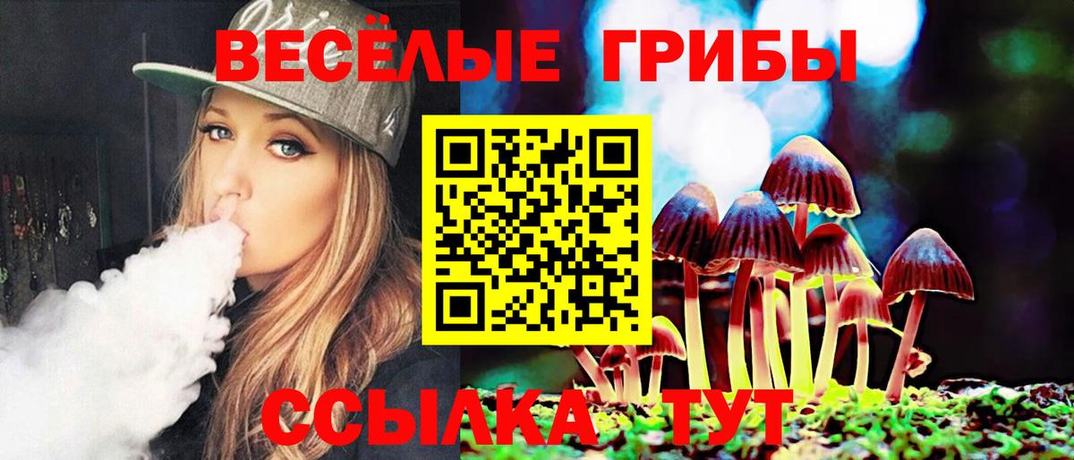 Псилоцибиновые грибы мухоморы Партизанск